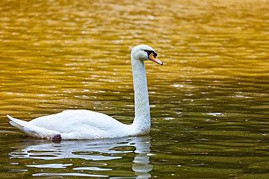 STG横板射击游戏《DRAINUS》更新 追加难度设定等